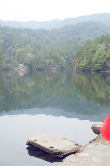 【章鱼直播官网】谭延闿追随孙中山动因辨析